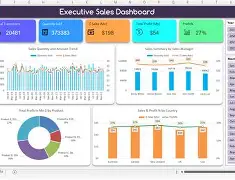 Excel with Dashboard